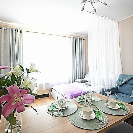 Cozy & Sunny Central Cracow קרקוב